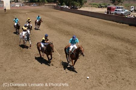 090406-Polo-0377