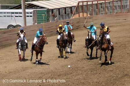090406-Polo-0379