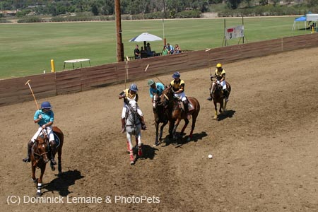 090406-Polo-0381