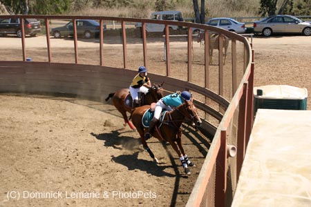 090406-Polo-0384