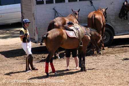 090406-Polo-0385