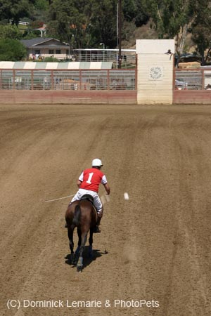 090406-Polo-0387