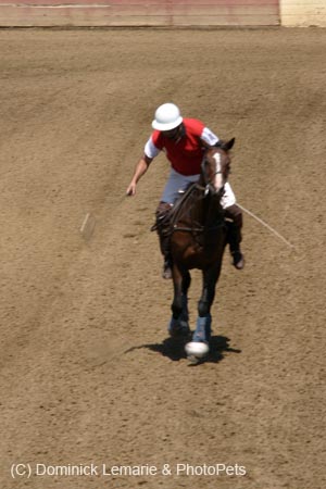 090406-Polo-0389