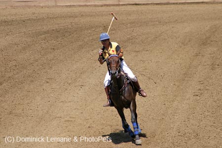 090406-Polo-0392