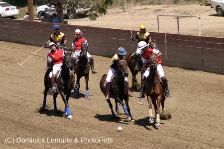 090406-Polo-0396