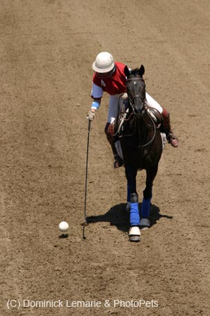090406-Polo-0398