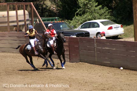 090406-Polo-0403