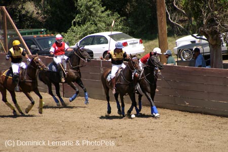 090406-Polo-0404
