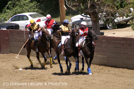 090406-Polo-0405