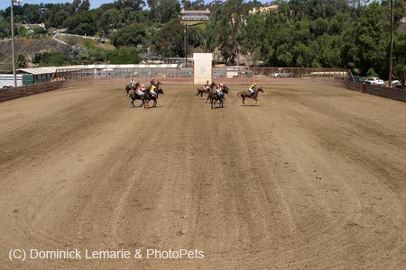 090406-Polo-0406