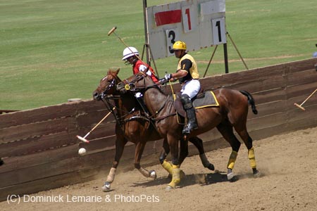 090406-Polo-0410