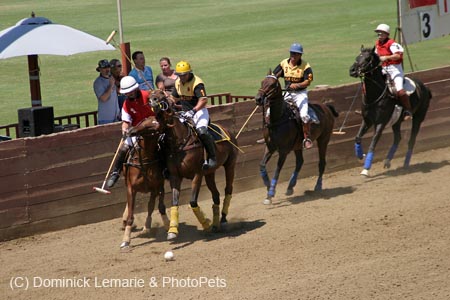 090406-Polo-0411
