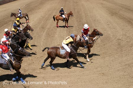 090406-Polo-0416
