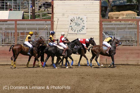 090406-Polo-0418