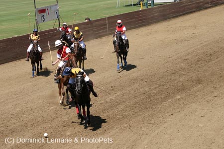 090406-Polo-0423