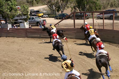 090406-Polo-0424