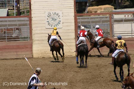 090406-Polo-0427