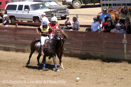 090406-Polo-0434