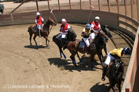 090406-Polo-0436