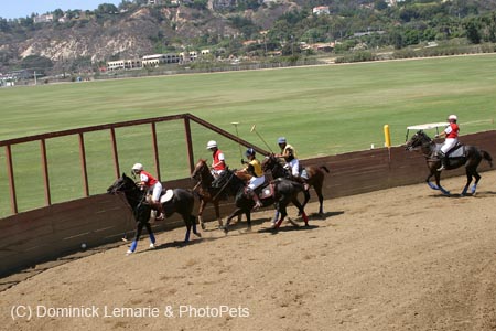 090406-Polo-0437