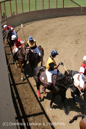 090406-Polo-0439