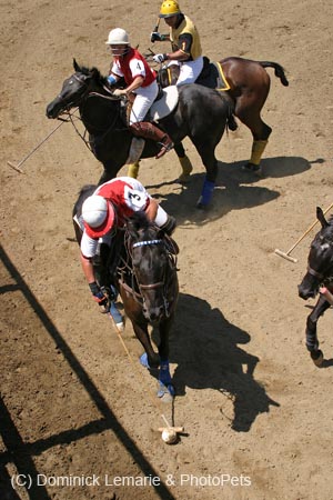 090406-Polo-0440