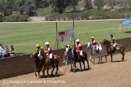 090406-Polo-0443