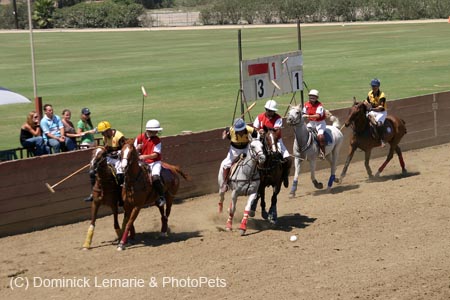 090406-Polo-0444