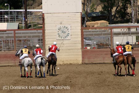090406-Polo-0447