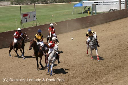 090406-Polo-0450