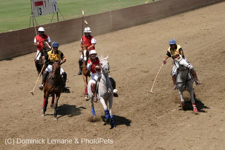 090406-Polo-0451