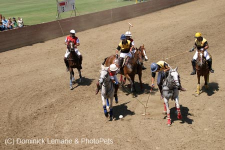 090406-Polo-0452