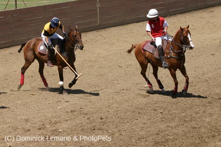 090406-Polo-0453