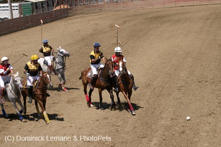 090406-Polo-0454