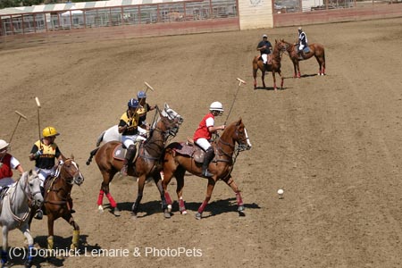 090406-Polo-0455