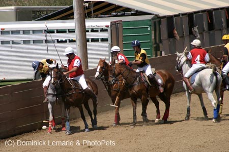 090406-Polo-0458