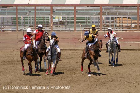090406-Polo-0469