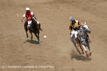 090406-Polo-0473