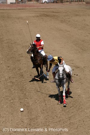 090406-Polo-0474
