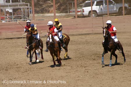 090406-Polo-0481