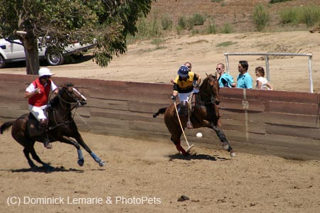 090406-Polo-0485