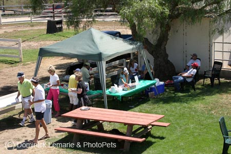 090406-Polo-0492