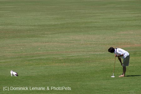 090406-Polo-0499