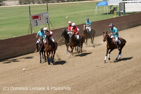 090406-Polo-0500