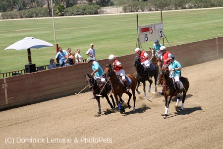 090406-Polo-0501