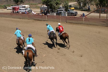 090406-Polo-0506