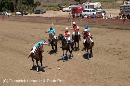 090406-Polo-0507