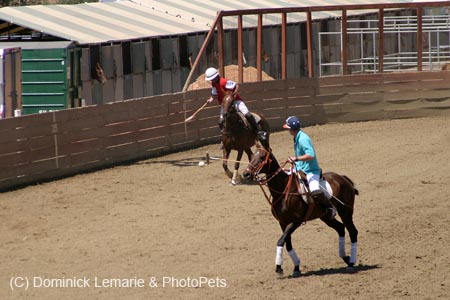 090406-Polo-0511