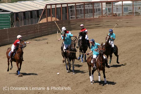 090406-Polo-0512