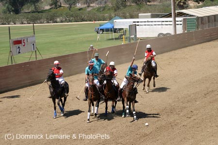 090406-Polo-0513